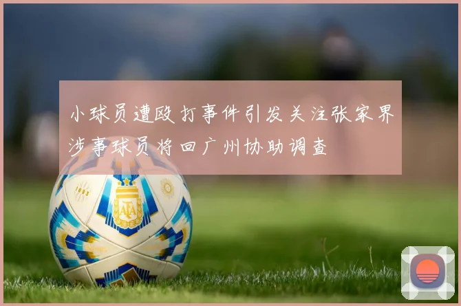 小球员遭殴打事件引发关注张家界涉事球员将回广州协助调查
